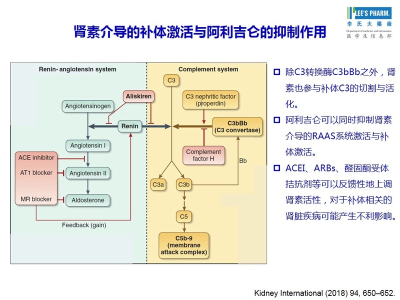 【第十期】阿利吉仑抑制肾素介导的补体激活