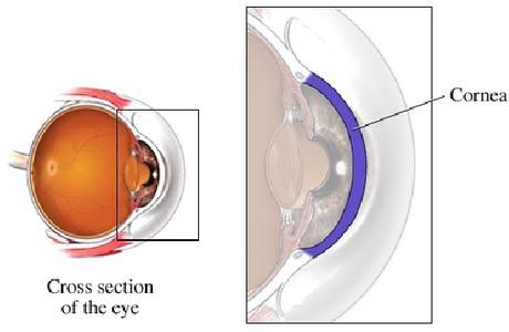 中国角膜塑形用硬性透气接触镜验配管理专家共识(2016年)