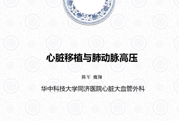 李氏医学探索-中欧超声心动图继续教育
