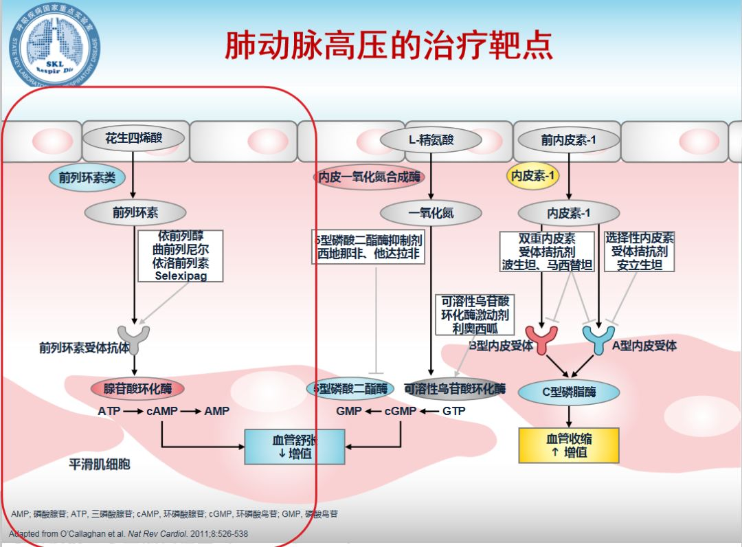 王健丨前列环素类药物 曲前列尼尔注射液 临床应用 李氏医学探索 中欧超声心动图继续教育